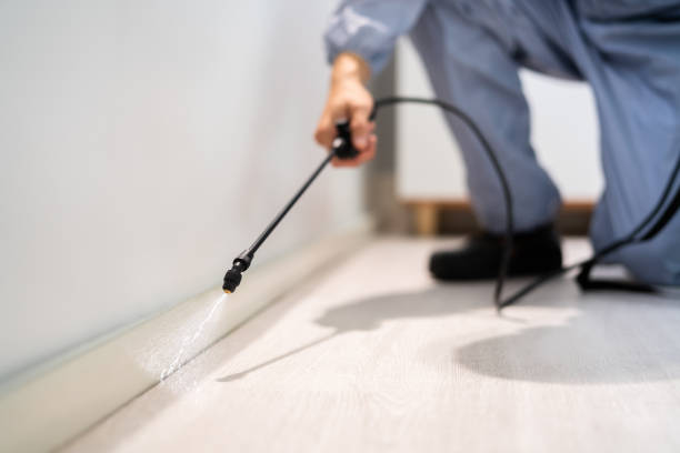 Licensed Termite Control service in Purcellville, VA - Nex Pest Control