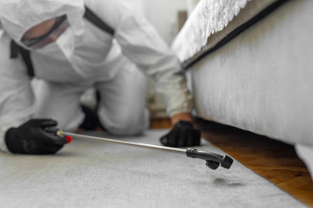 Professional Termite Control technician working in Purcellville, VA