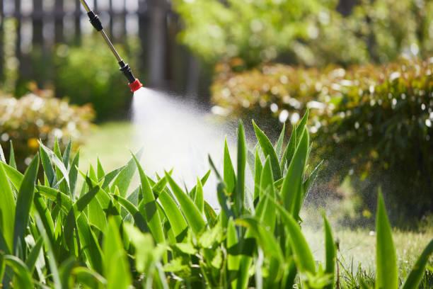 24/7 Emergency Termite Control experts in Purcellville, VA