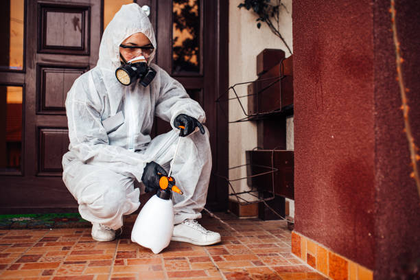 Reliable Termite Control contractor in Purcellville, VA by Nex Pest Control