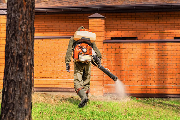 Top rated local Termite Control specialists in Purcellville, VA
